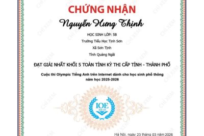 KẾT QUẢ HỘI THI IOE (OLYMPIC TIẾNG ANH) CẤP TỈNH – THÀNH PHỐ